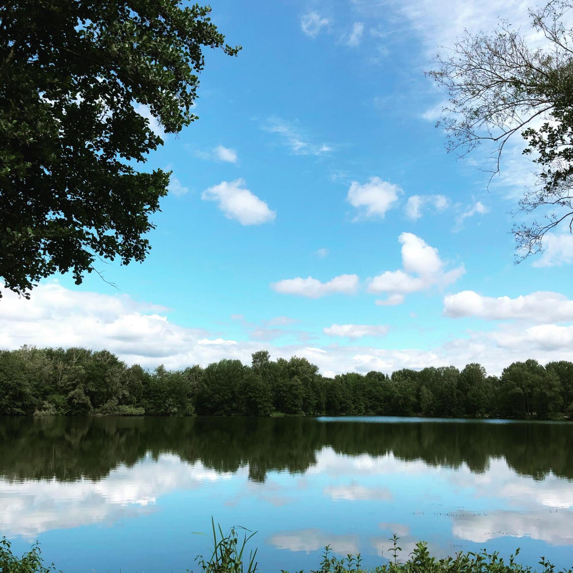 Casa de Férias De La Côte à Sur Moselle *