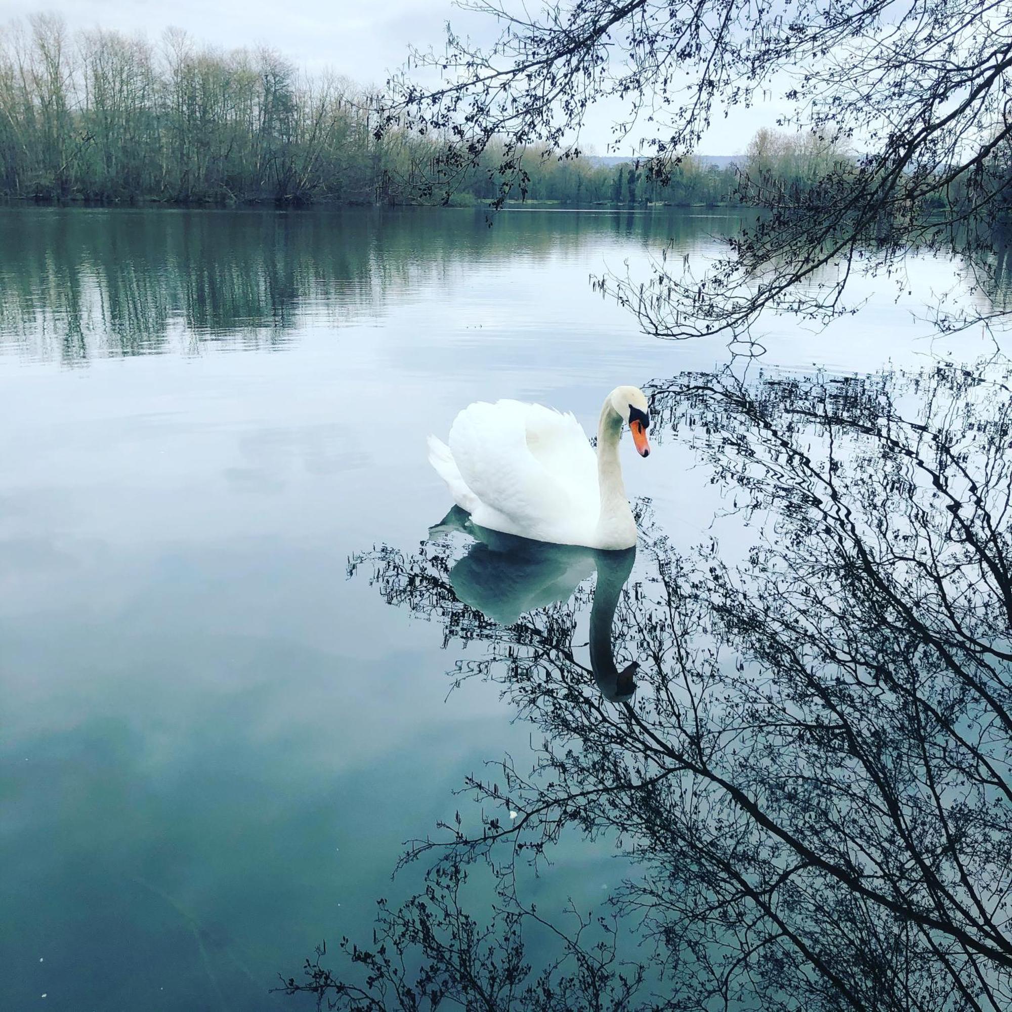 De La Cote A Sur Moselle Ferienhaus *